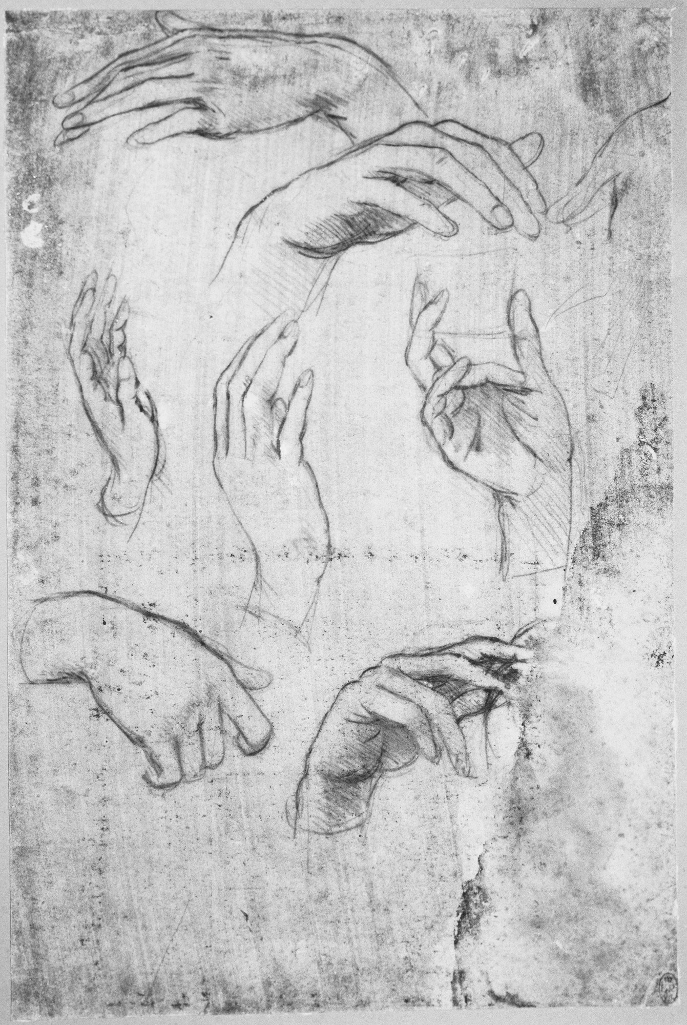 Studies of Hands / 列奥纳多《手部习作》